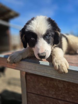 WhatsApp Image 2026 04 06 at 11.16.54 (1)