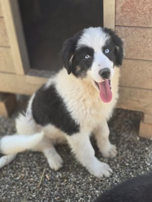 WhatsApp Image 2026 04 06 at 11.16.56 (3)