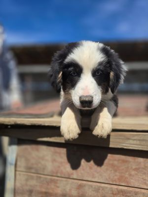 WhatsApp Image 2026 04 06 at 11.16.56