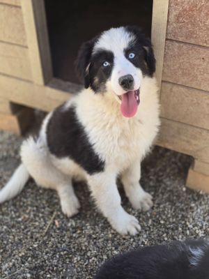 WhatsApp Image 2026 04 06 at 11.16.57