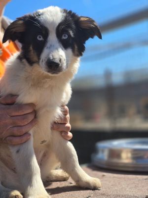 WhatsApp Image 2026 04 06 at 11.31.11