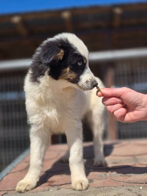 WhatsApp Image 2026 04 06 at 11.31.12 (1)