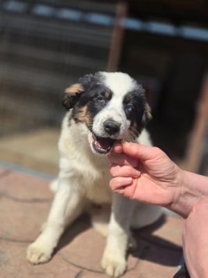 WhatsApp Image 2026 04 06 at 11.31.12 (2)