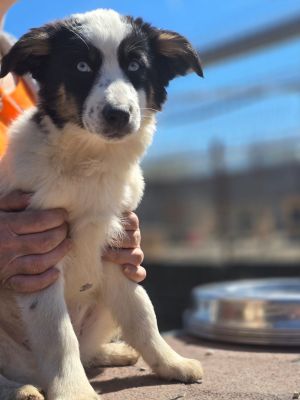 WhatsApp Image 2026 04 06 at 11.31.12