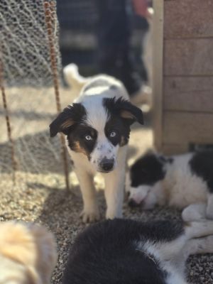 WhatsApp Image 2026 04 06 at 11.31.13 (1)