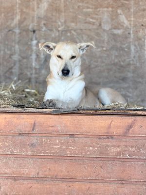 WhatsApp Image 2026 04 07 at 08.02.29