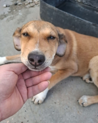 WhatsApp Image 2026 04 08 at 00.42.54 (1)