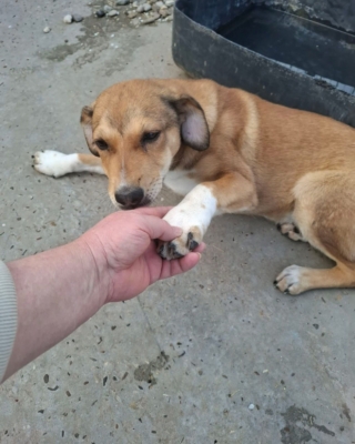 WhatsApp Image 2026 04 08 at 00.42.54 (2)