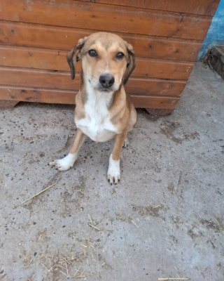 WhatsApp Image 2026 04 08 at 00.42.54