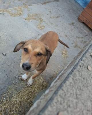 WhatsApp Image 2026 04 08 at 00.42.54 (4)