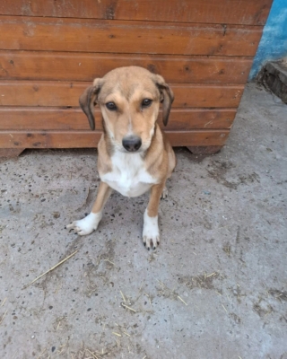 WhatsApp Image 2026 04 08 at 00.42.54 (5)