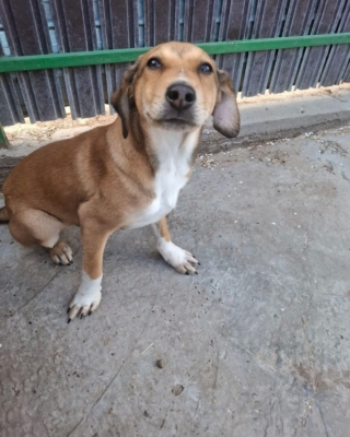 WhatsApp Image 2026 04 08 at 00.42.55