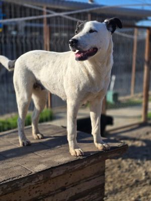 WhatsApp Image 2026 04 08 at 09.08.04