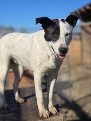 WhatsApp Image 2026 04 08 at 09.08.091