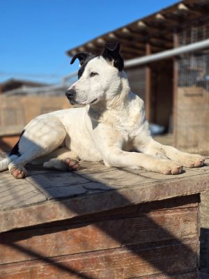 WhatsApp Image 2026 04 08 at 09.08.12