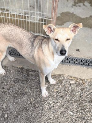 WhatsApp Image 2026 04 08 at 16.22.40