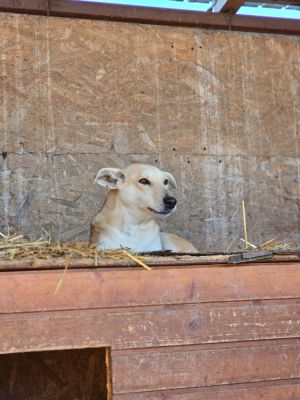 WhatsApp Image 2026 04 08 at 16.23.49