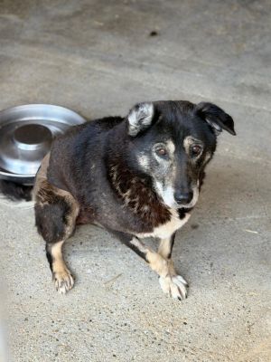 WhatsApp Image 2026 04 10 at 14.33.49 (1)