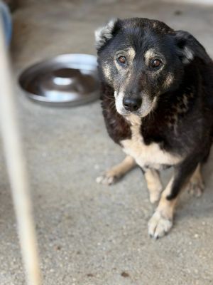 WhatsApp Image 2026 04 10 at 14.33.49