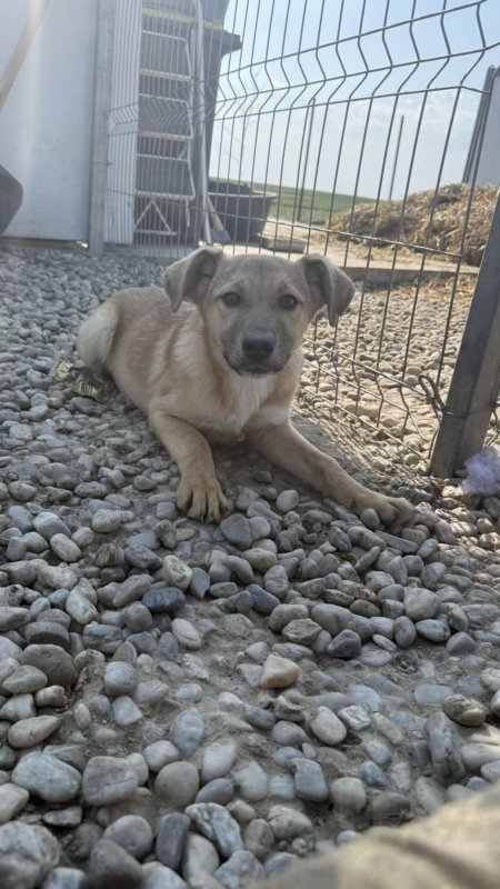 C94db13a d382 4da8 824f 688db8b63bc8