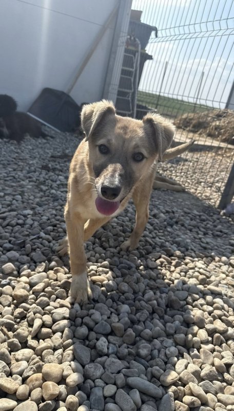 Df42cdc7 5613 424e ba03 f2b130a500fa