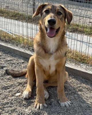 Ruben