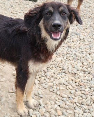 Billy