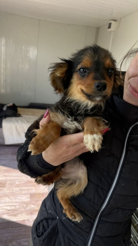 1496303a d647 4e9f a483 ffc9e3213915