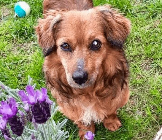 2026 05 05 19 36 59 Hi everyone, and welcome. I’m really happy to see OneNote