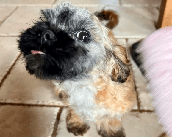 2026 05 05 19 41 15 Hi everyone, and welcome. I’m really happy to see OneNote