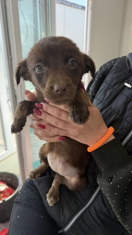 2a97b106 8a48 4e23 87d0 301ce7c96510