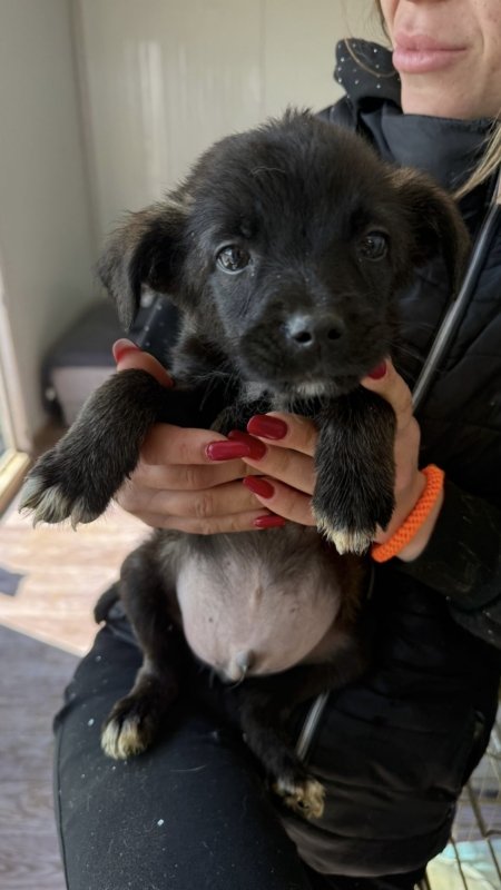 51eff925 f1a6 49cf afb3 bf80f6508d8d