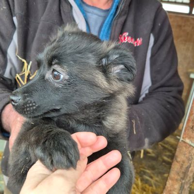 627654188 1238436181747746 2425444200129816772 n