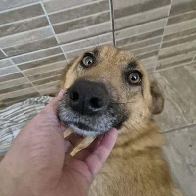 641710058 814673875037755 6785609877050498118 n