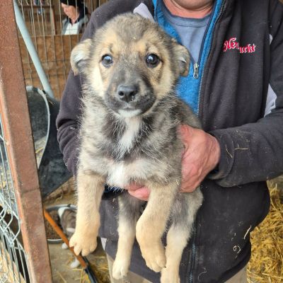 641752668 4202718826610274 3655244461755848863 n