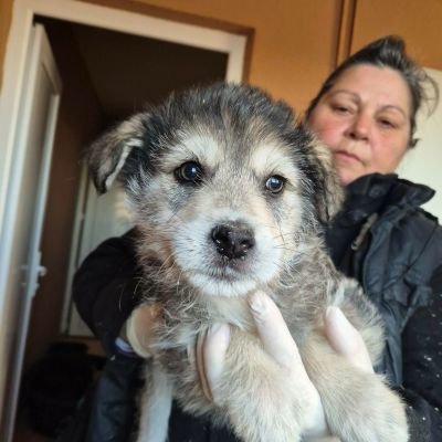 641769741 977638731585703 2936214338313786190 n