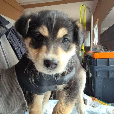 641814951 911776885049026 428765563496444139 n