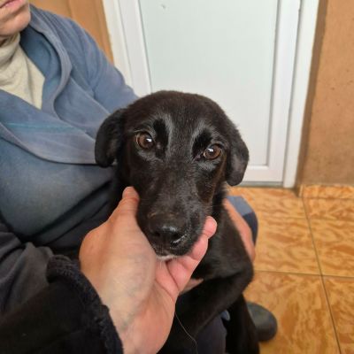 643264537 1590469572035086 8382877397686920524 n