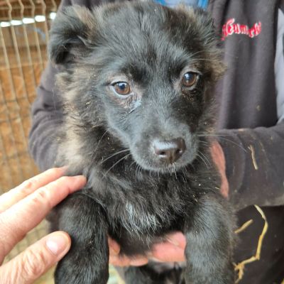 643416510 1391018456161591 1905984020179373930 n