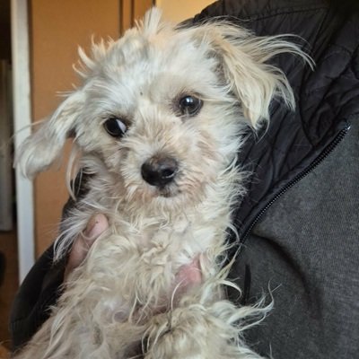 644783574 1465064787807023 3904229212213204876 n