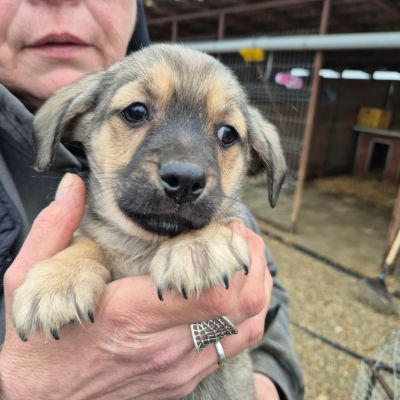 645254617 2641720992877909 6544724384354359840 n