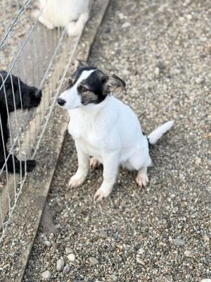 646134449 1483748559994545 3341334168997256573 n