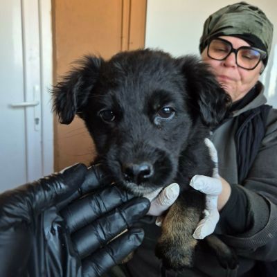 646770632 1488306125970906 1649437490414434952 n