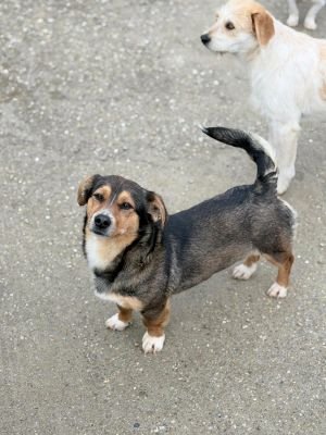 649503298 1309706374556624 1849650287420290636 n