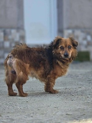 649509150 25447000364976279 5546481685537927046 n