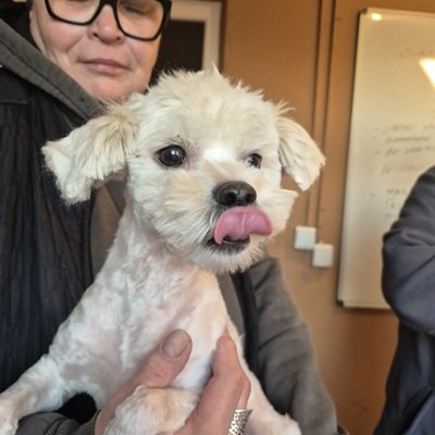 650769503 1629031861723421 6060762887868479533 n