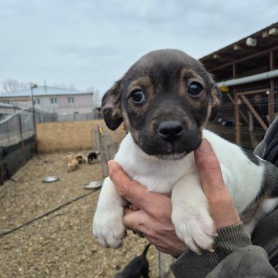 650806954 1669088464264165 4564015859809434347 n