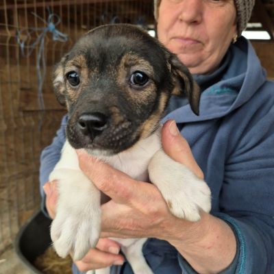 650816962 1458994015618529 8781937950102500724 n