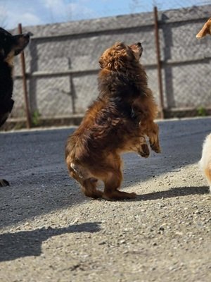 650828576 1658860432018865 7671024825128157394 n