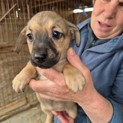 650872372 920165590625777 5715780933128742091 n